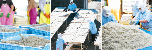 マルト商店（師崎）