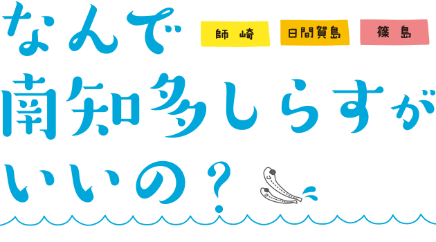 なんで南知多しらすがいいの？