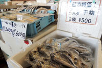 たいの酢の物、ズワイガニむき身、アジとコハダの干物