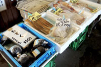 もずく、各種干物