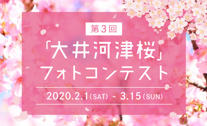 第3回大井河津桜フォトコンテスト