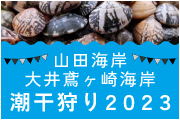 山田海岸・大井鳶ヶ崎海岸潮干狩り2023