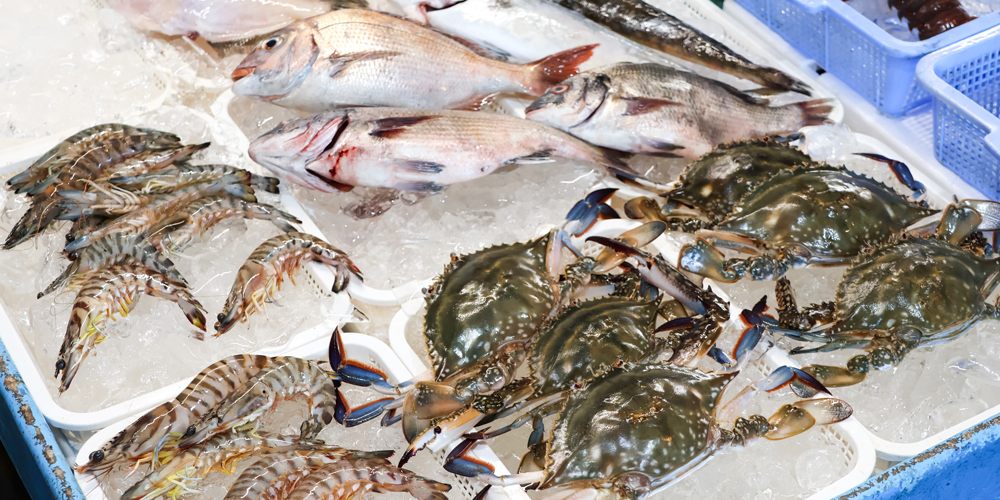 赤羽商店の鮮魚